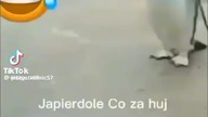 PAMIĘTA TO KTOŚ ??
