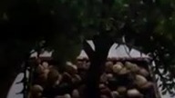 Nie nauczyłem się umierać