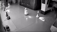 ROBOT zabiera inne roboty na chatę