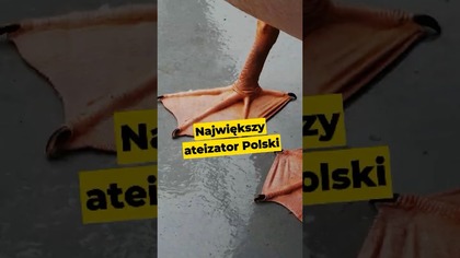 Największy ateizator Polski #ateista #polska #polacy #kk #kościółkatolicki