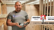 Gołebie od Mistrza Okręgu Zielona Góra - Tomasz Seredyński - PZHGP 0369 Żagań