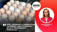 Małgorzata Tracz Odejście od chowu klatkowego będzie konsultowane społecznie
