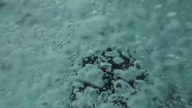 UNDERWORLD