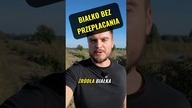 NAJLEPSZE ŹRÓDŁA BIAŁKA OKIEM LEKARZA