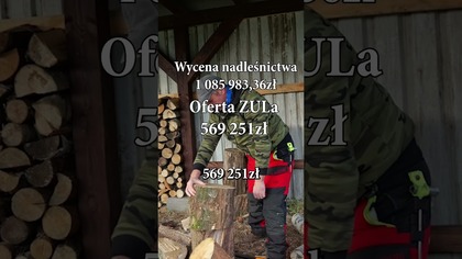 48% mniej od wyceny nadleśnictwa || Okiem ZULa