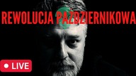 REWOLUCJA PAŹDZIERNIKOWA #1