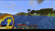 They are quite patient #minecraft #gaming #game #Patrol #Bruh #Short #Shorts