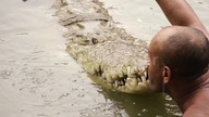 Niezwykła przyjaźń między człowiekiem a krokodylem