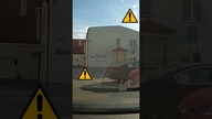 Dziewczynka niemal wjeżdża pod koła #rikordwidjo #shorts