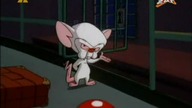 Pinky i M&oacute;zg s03e33 - Z punkty widzenia Pinkyego/Wielki Dyktator/M&oacute;zg Pracuje