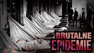 10 NAJWIEKSZYCH EPIDEMII W HISTORII