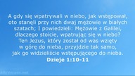 Janek Pajor - Samotny szedłem