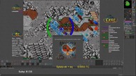 Tibia nowy serwer KARNA - dzień 1