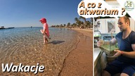 Jak przygotować akwarium na wakacje ?