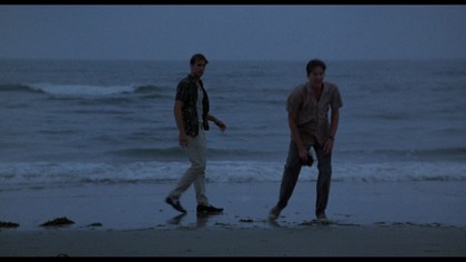 Birdy (1984)