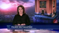 Polacy nokautują w Willingen! (15. 02. 2019)