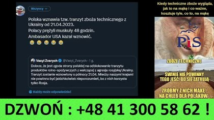 Live 19. 04. 2023r