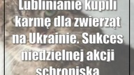 Lublinianie kupili karmę dla zwierząt na Ukrainie.  Sukces niedzielnej akcji schroniska