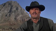 Godzina ognia (1967) Hour of the Gun [1080p]