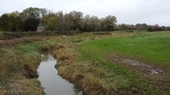 ENKI: Anglia - East Sussex