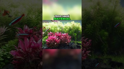 Wystrój Zbiorników Zmiany co Rok! Nowe Inspiracje!