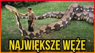 10 NAJWIĘKSZYCH WĘŻY