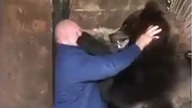 W Rosji naprawdę wszystko jest możliwe