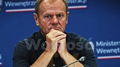 BRYŁKA Z DRUZGOCĄCYM RAPORTEM Z POLSKIEJ GRANICY! NIEMCY ROBIĄ CO CHCĄ, A TUSK IM PRZYKLASKUJE!