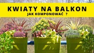 KWIATY NA BALKON.  Jak dobierać, komponować rośliny balkonowe? Z czym sadzić pelargonię, surfinię ?