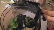 Oliwkowe crostini - Video-Kuchnia. pl
