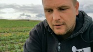 No to odje...  oby rzepak przeżył to bez szwanku