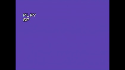 Wszystko Się Kręci Bailey Kipper Rtl 7..