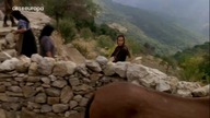 Eleni (1985)