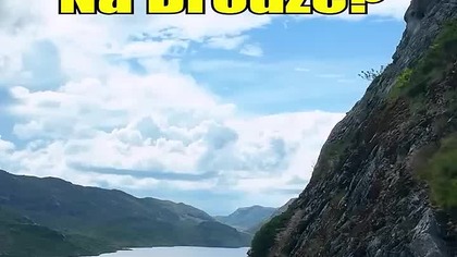 Norwegia: Tu Owce Mają Pierwszeństwo!