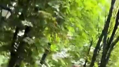 Czują się jak u siebie..