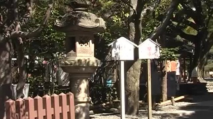Travel: Kamakura, Japan - Travel shorts