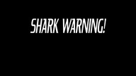 Uwaga rekin! - Shark Warning 2024 aut.pl