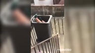 To się nazywa logika kobiet