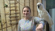 Papugarnia Amazonia Kraków - piękne papugi na wyciągnięcie ręki!