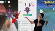 Buddy Adventure, Jak wytresować swojego pokemona! Odcinek #396