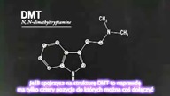 DMT Molekuła Duszy - Napisy PL.  Dokument