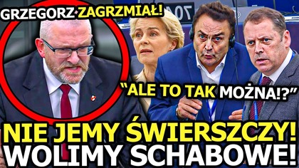 WOLIMY SCHABOWE! GRZEGORZ GRZMI DO EUROGŁĄBÓW, KTÓRZY CHCĄ WCISKAĆ NAM ŚWIERSZCZE NA OBIAD!