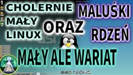 Dwa najmniejsze Linuxy świata - Cholernie Mały Linux - Damn small Linux oraz maluski Rdzeń Tiny Core