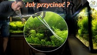 Jak przycinać rośliny w akarium.