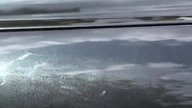 #shorts To było na całym LAKIERZE  K2 Spectrum pro - Quick Detailer