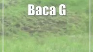Baca Góra  archeologiczna zagadka w Lubelskiem