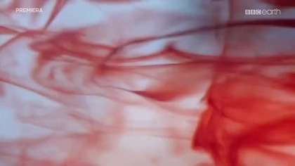 Wspaniały świat krwi (2015) [Lektor PL]