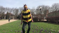 Hornet smile HIT - Myszka. TV