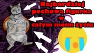 Magnes na lodówkę kotek Mania FIMO