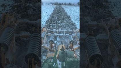 Ostatnia prace polowe w 2025